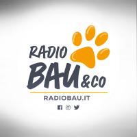 Radio Bau & Co